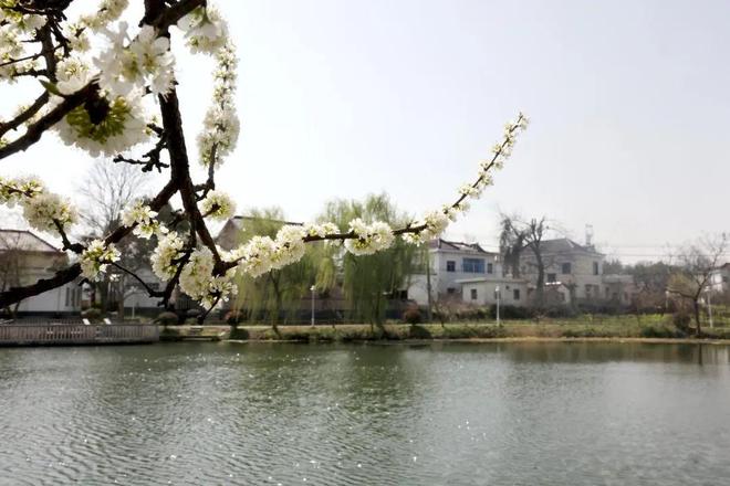 校录取全覆盖！四级应急响应！发布台风“竹节草”防御提示！尊龙凯时网站【铜陵头条0731】铜陵市第一中学985高(图3)